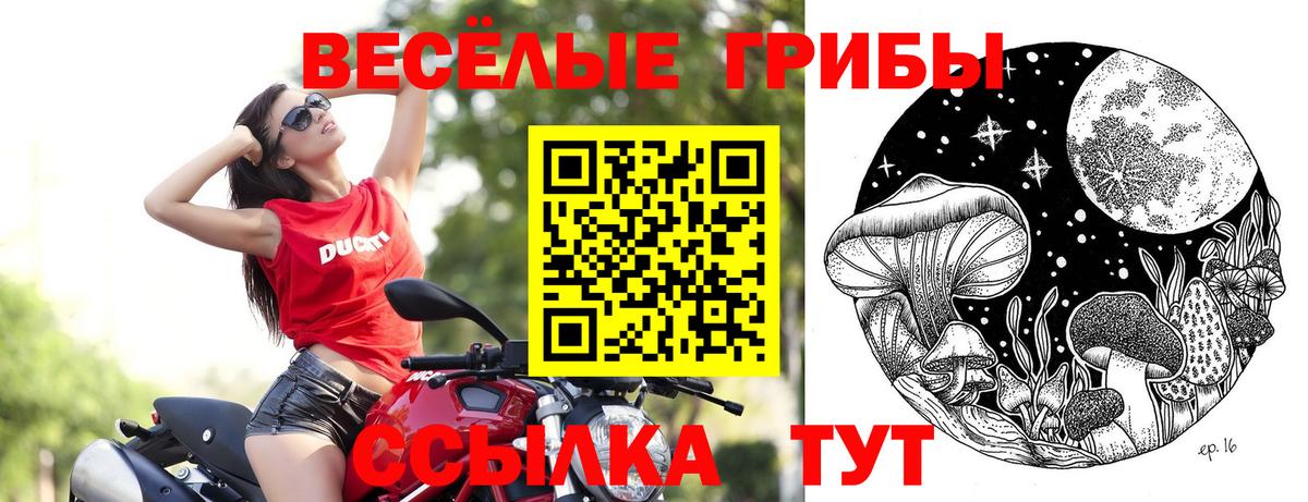 Псилоцибиновые грибы GOLDEN TEACHER  Галлюциногенные грибы мухоморы  Саранск  Вход с VPN 