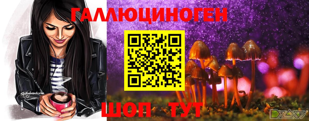 Псилоцибиновые грибы MAGIC MUSHROOMS Саранск
